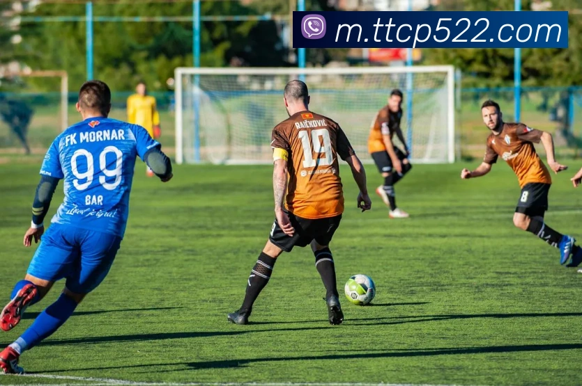 天天彩票官方网站品牌故事